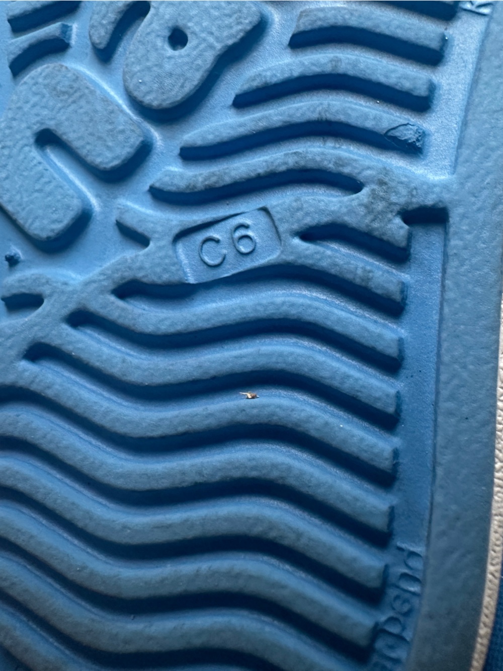 NATIVE Jefferson Sneakers
Toddler Kids size C6 sky blue white EUC - Picture 11 of 13